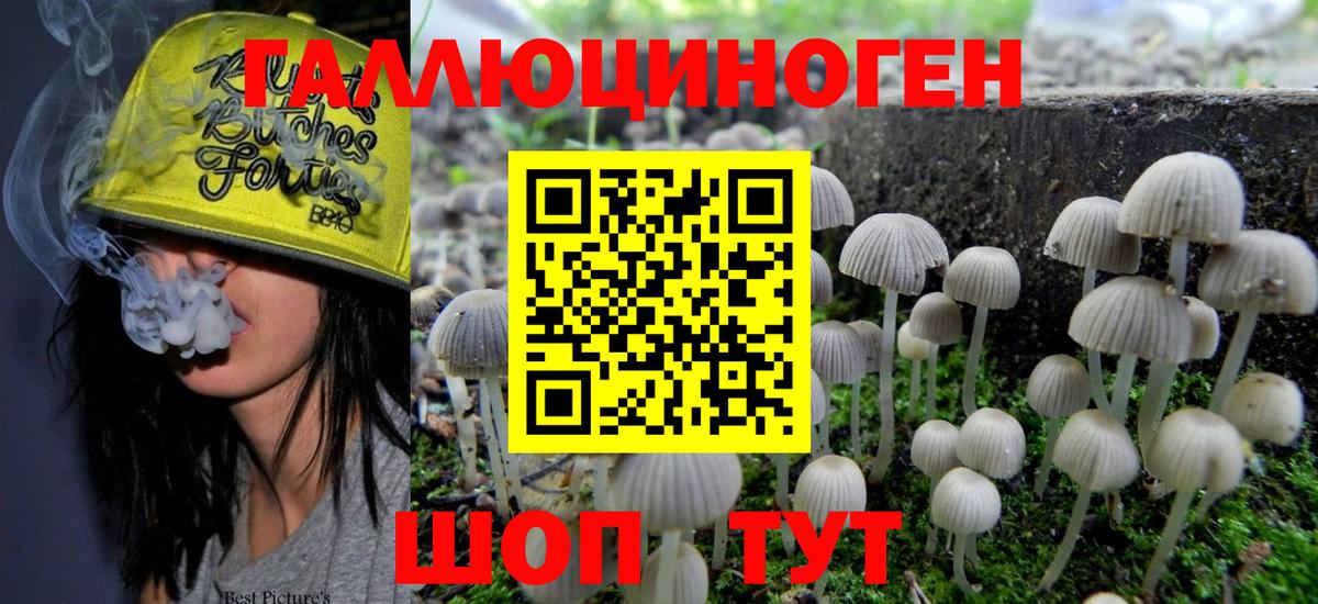 Галлюциногенные грибы Cubensis  Псилоцибиновые грибы ЛСД  Кострома  Вход с VPN 