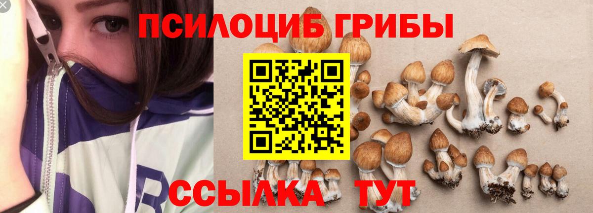 Галлюциногенные грибы ЛСД Кострома